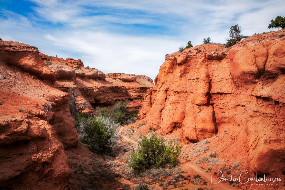 Kodachrome Basin State Park The Trail through